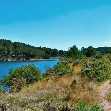 Retenue de la Chèze à Saint-Thurial