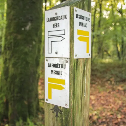 Signalétique Forêt du Mesnil