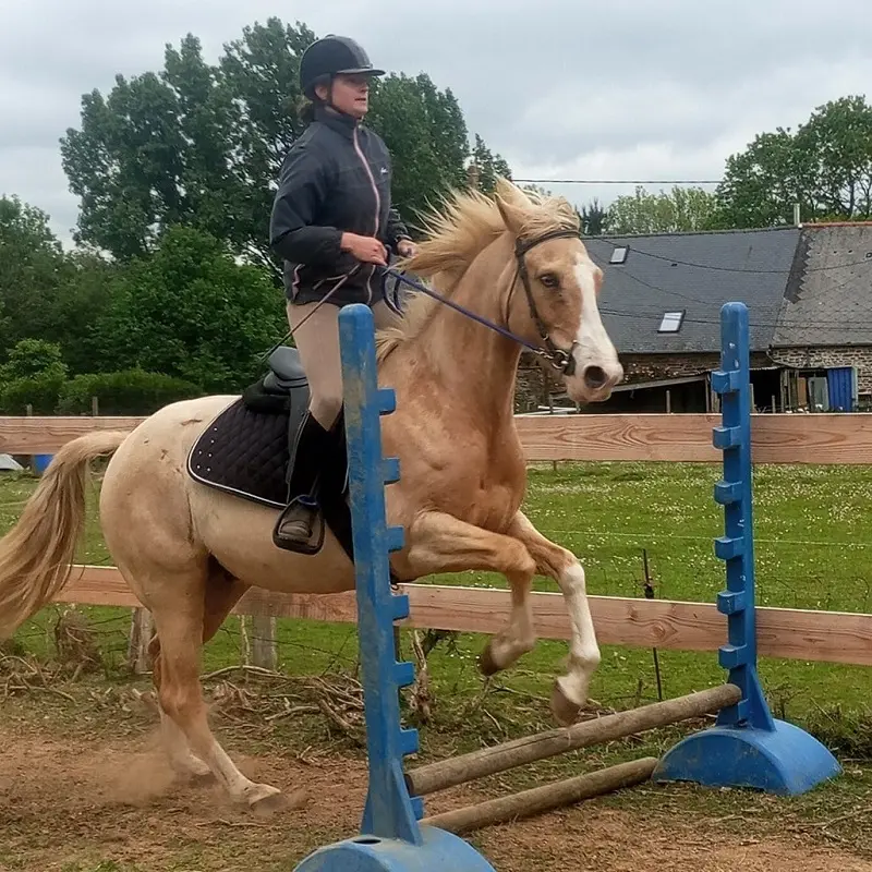 Saut à cheval