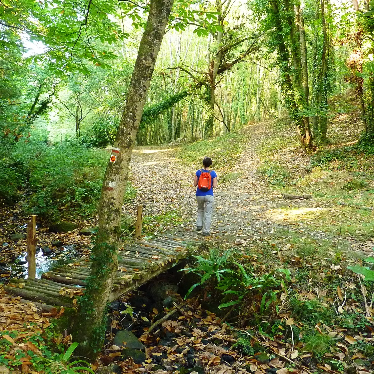 Vallée de Riskop SMBMSM
