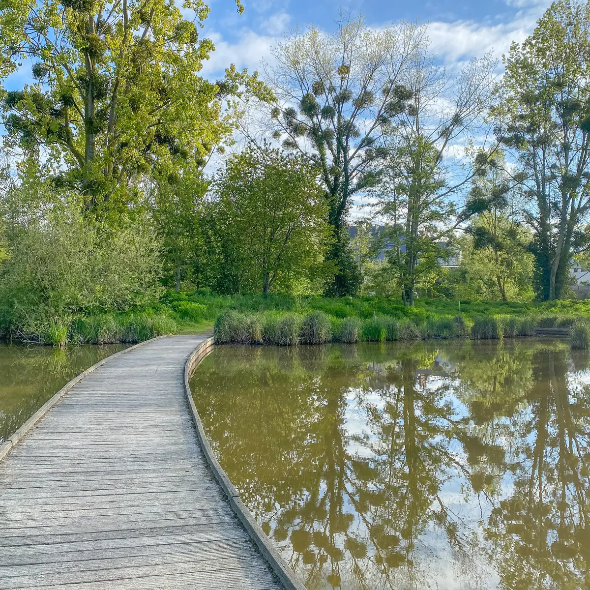 ©SMBMSM - Vallée du Guyoult - Dol-de-Bretagne