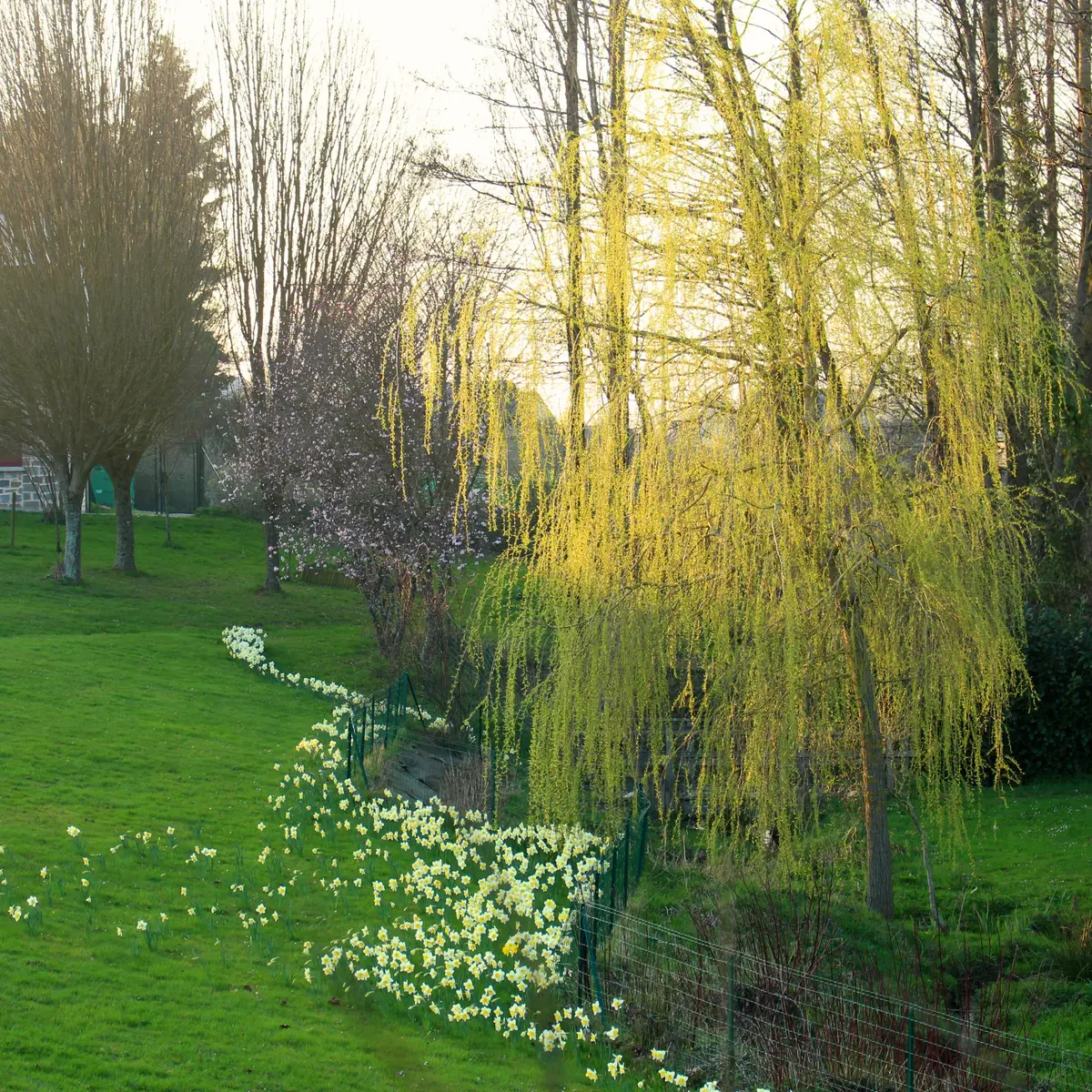 ancien-moulin-saint-georges-de-reintembault-3(2)