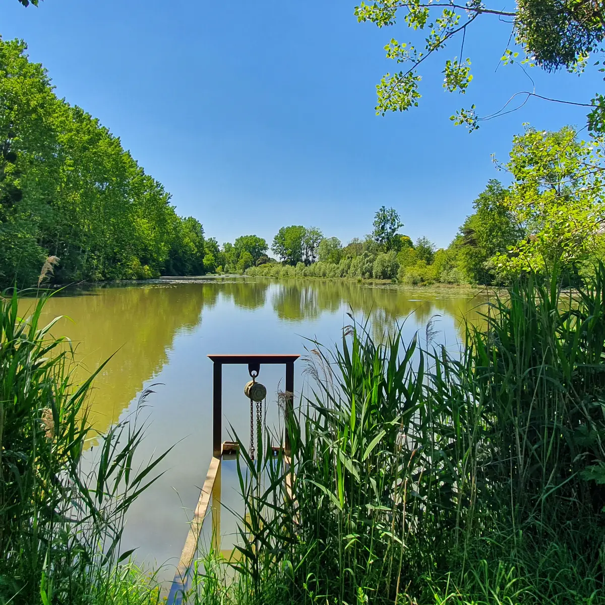 Étang du Moulin du Pré