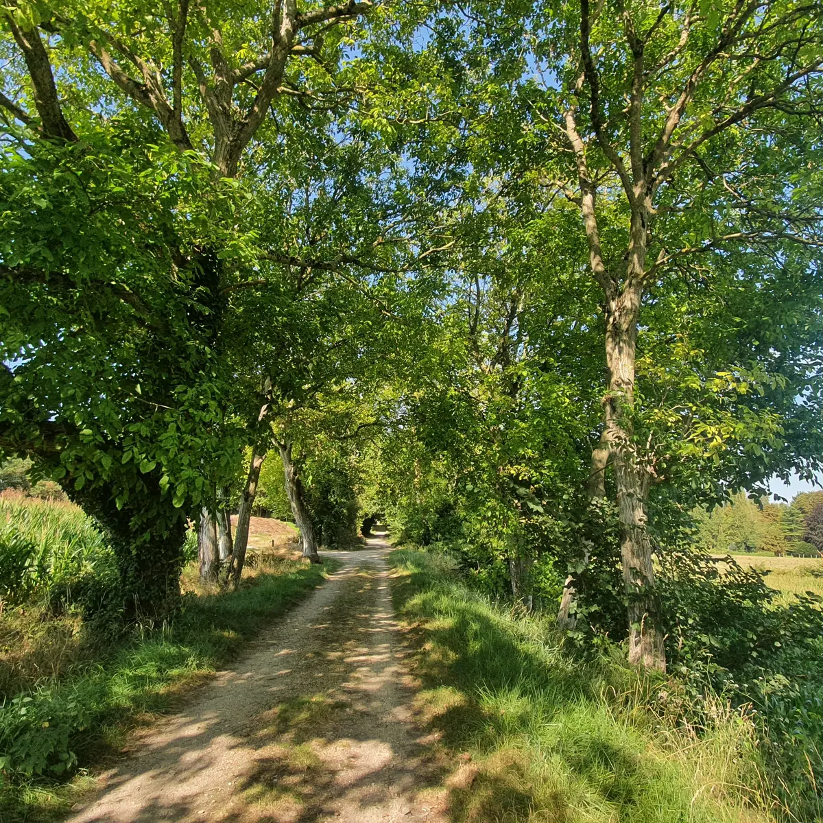 Ancienne voie de chemin de fer