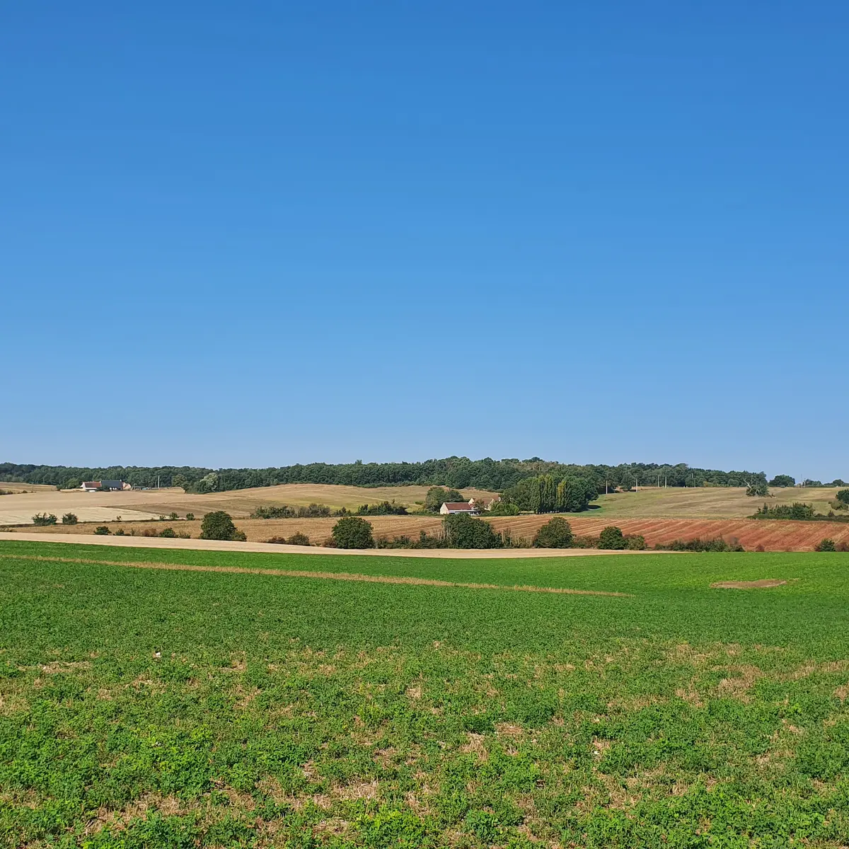 Campagne de la Chapelle-Blanche