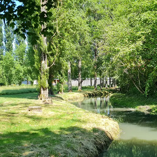 Le Brignon