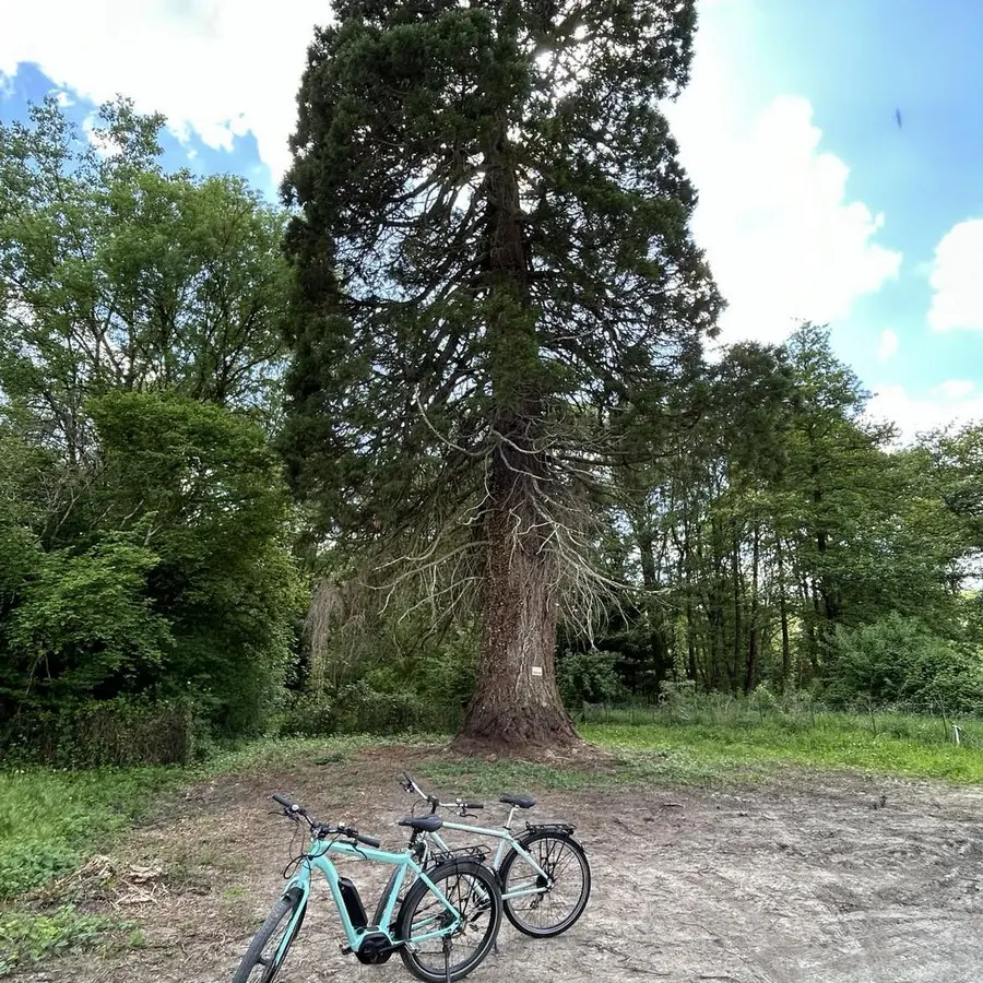 ACVL -Azay-le-Rideau - Azay-le-Rideau Cycles (2)