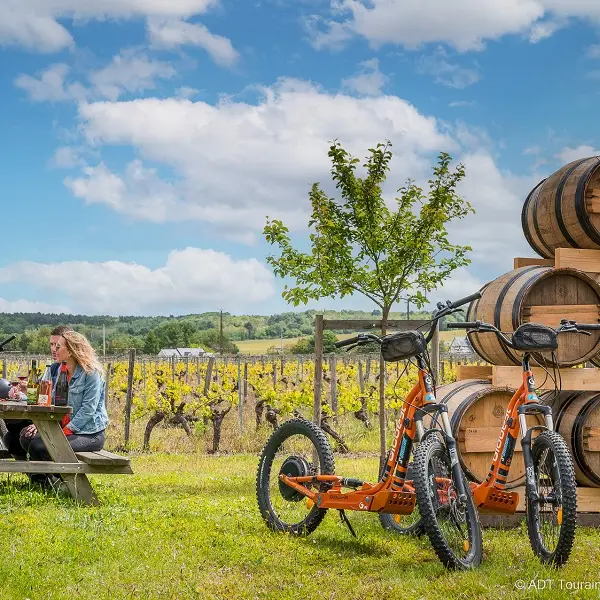 Château de Minière - Cave touristique aux Coteaux-sur-Loire