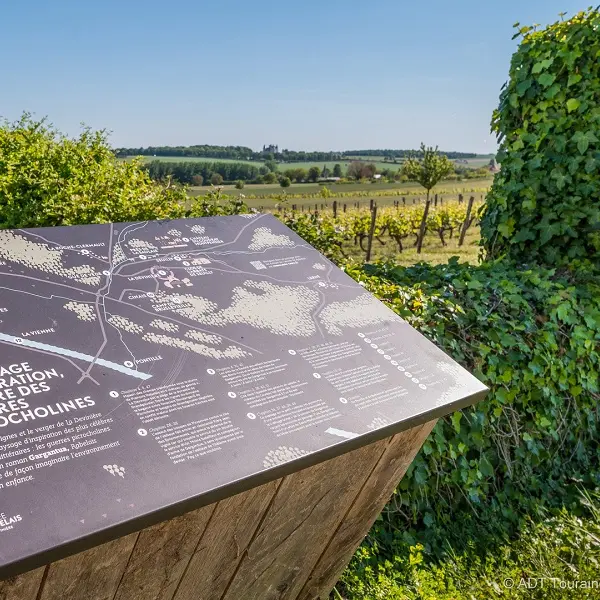 Les paysages chers à Rabelais