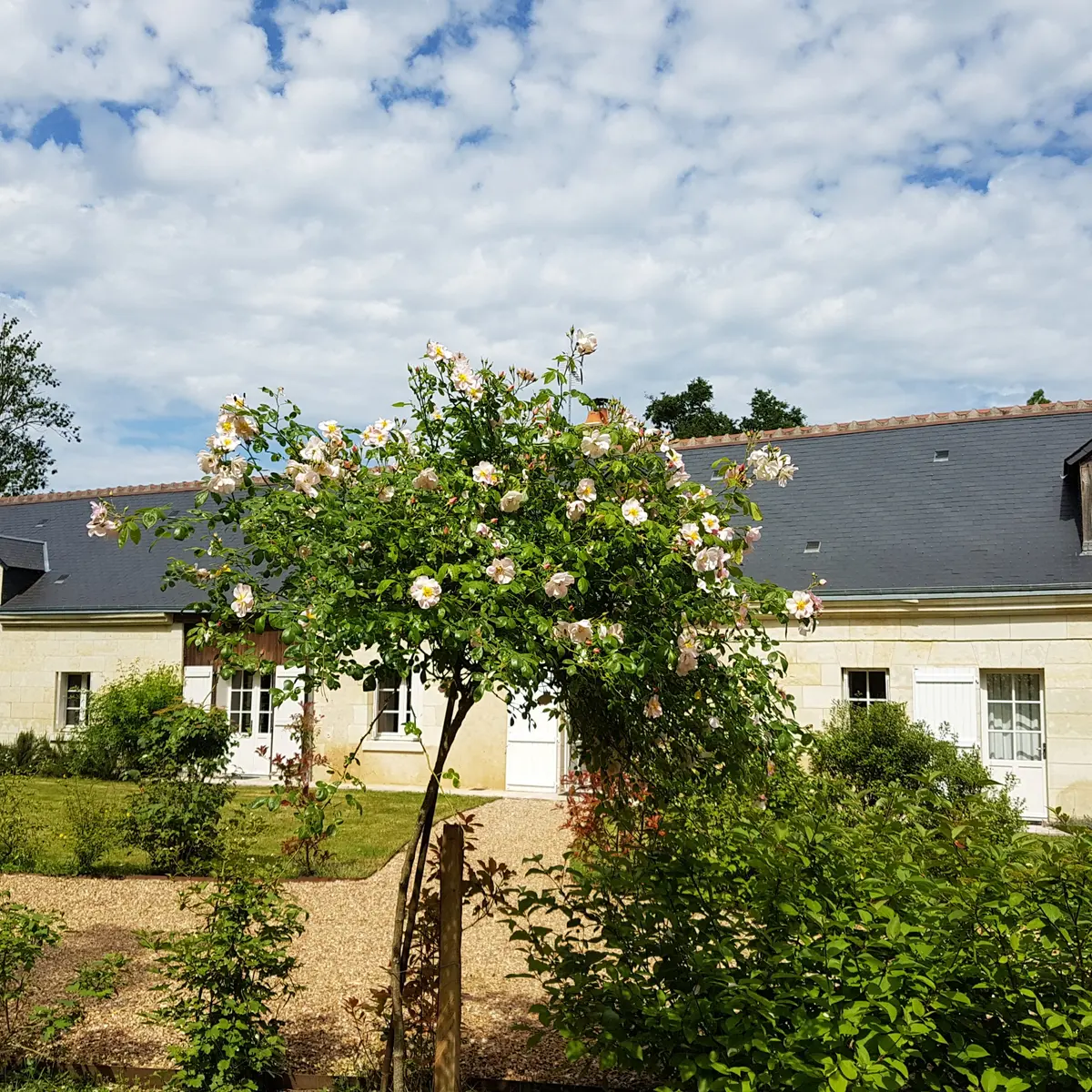 EPEIGNE_GITE LA RAFFINERIE_Marie Lecocq (2)