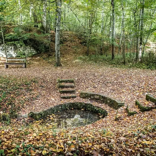 Fontaine d'Orfonds, Moyen-Âge