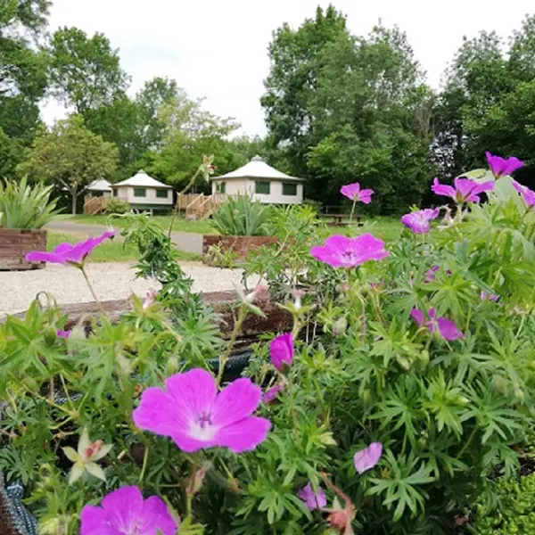 Camping la Fritillaire