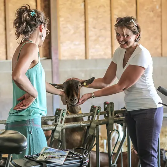 Liaison Vélo La Tangente Gourmande - Fromagerie Le Cabras à Dolus