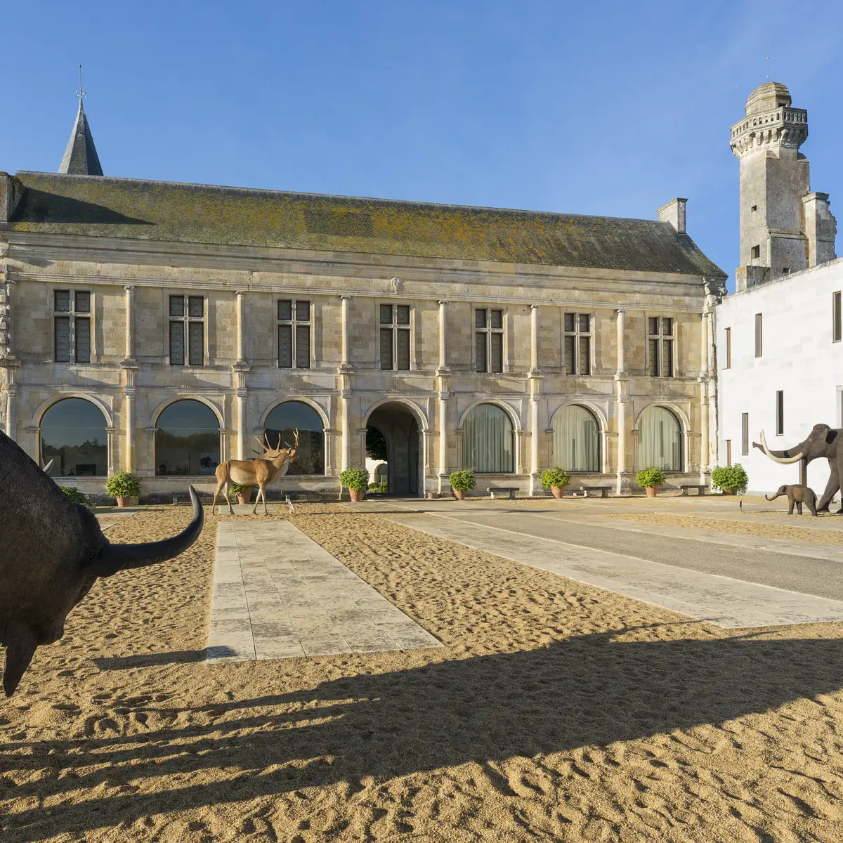 Musée de la Préhistoire du Grand-Pressigny