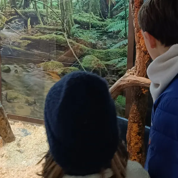 Vivarium du Muséum d'histoire naturelle de Tours.
