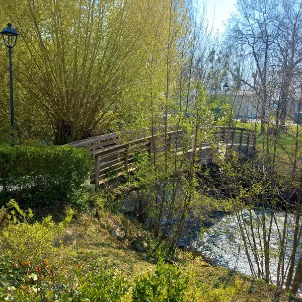 Pont_Brenne_Chançay_crédit_OTMV_NB_2031 (1)
