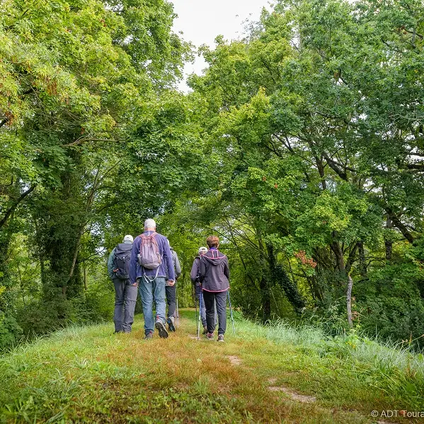 Randonnée pédestre - Vernou-sur-Brenne