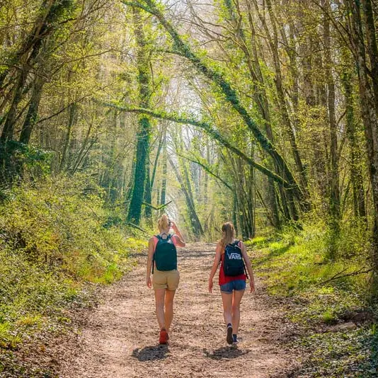 Sentier d'interprétation de la vallée troglodytique des coteaux - Draché