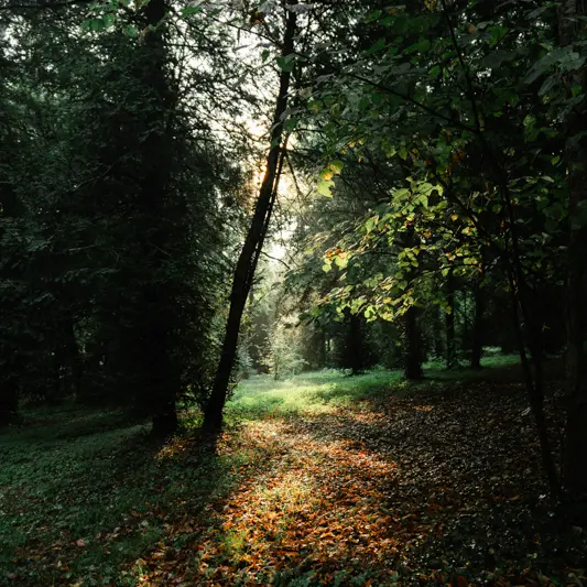 Street Art Parc - ParcNature