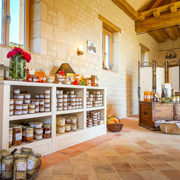 Des poules et des vignes