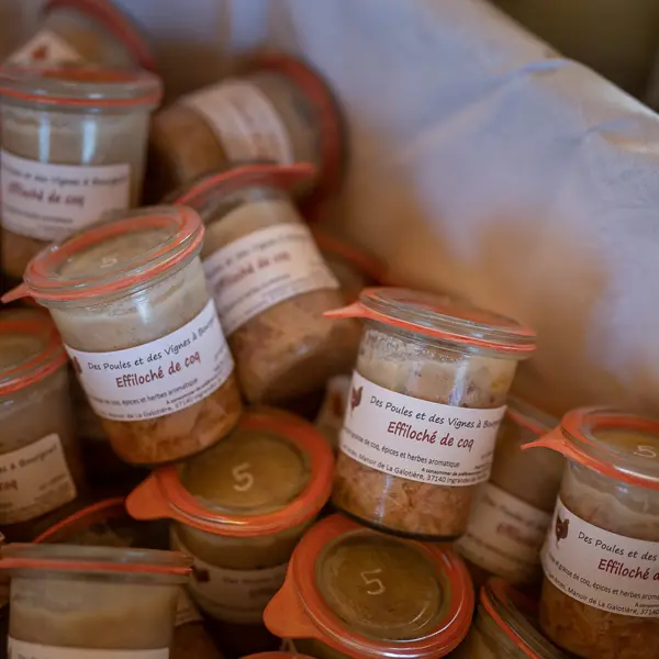 Des poules et des vignes