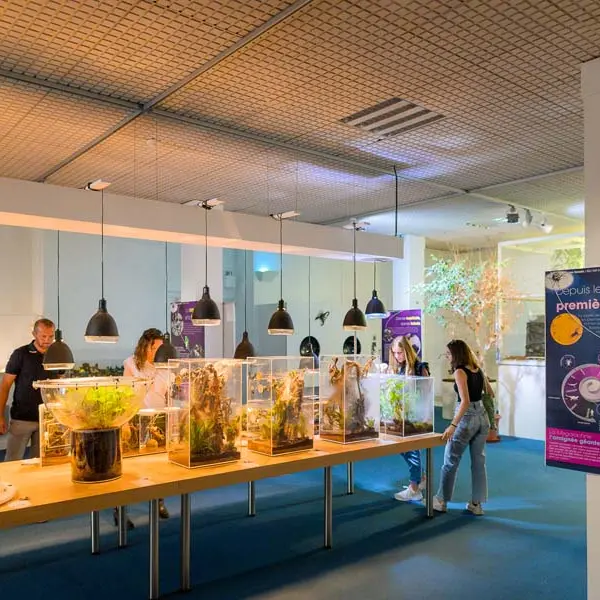 Muséum d'histoire naturelle de Tours