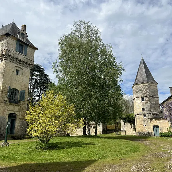 La petite chouette - Chateau de La Celle-Guénand