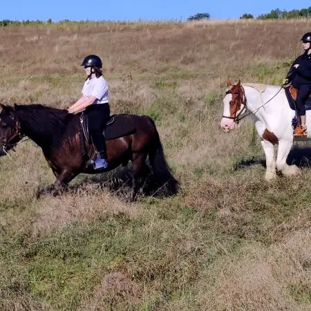 Horse Journey - Balade en couple