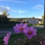jacherefleurie-17ylulsljj1v.jpg.150x150_q85