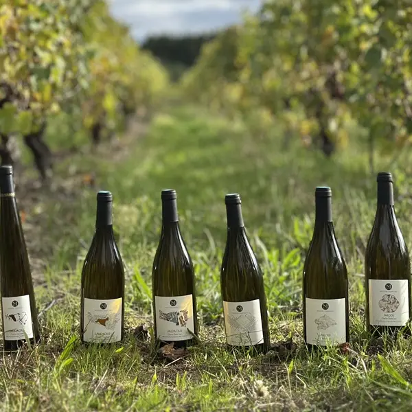 Maison Laudacius - Vins - Montlouis-sur-Loire