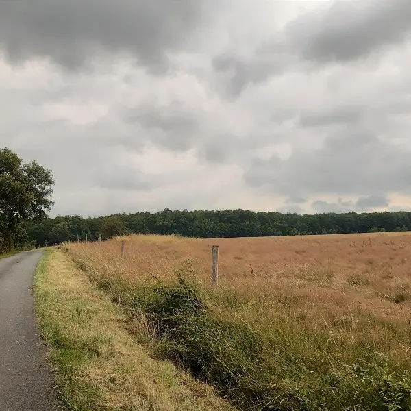 Boucle vélo 17 : sur les pas de Balzac - Saché et Thilouze