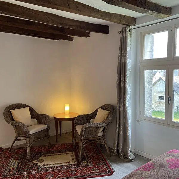 Salon - La petite chouette - Chateau de La Celle-Guénand