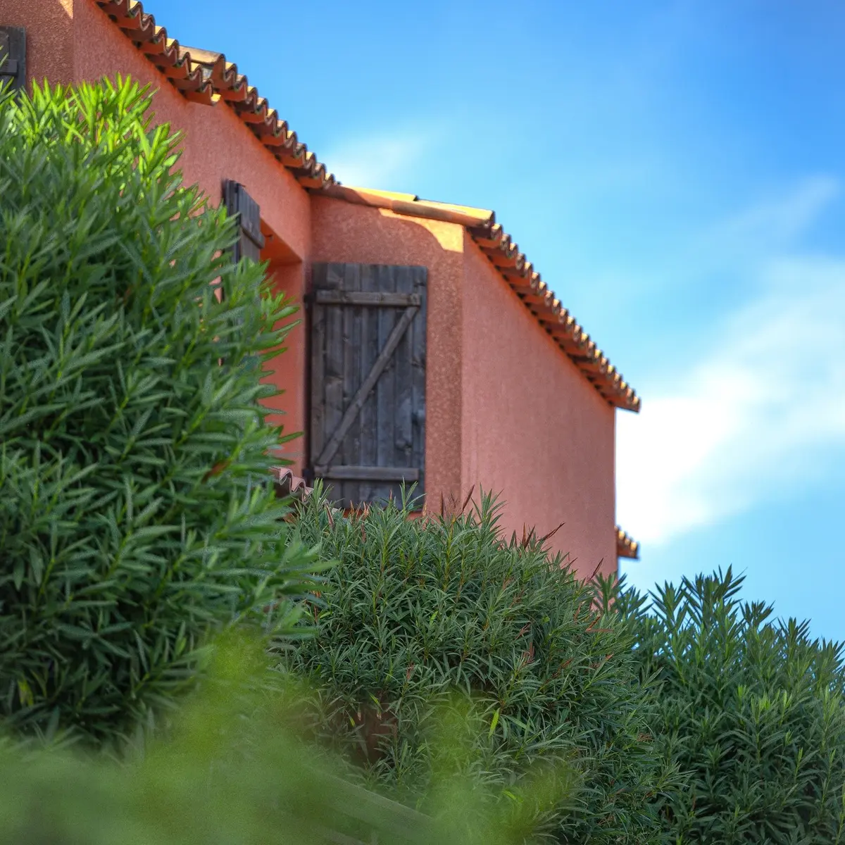 MAQUIS BELLA VISTA