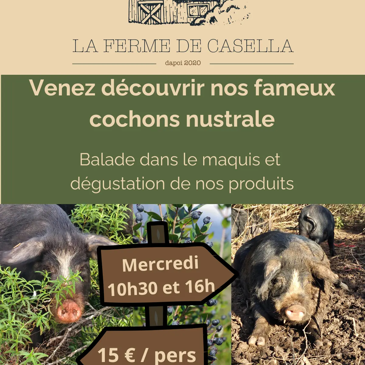Visites de la ferme
