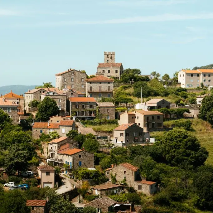 Arbellara