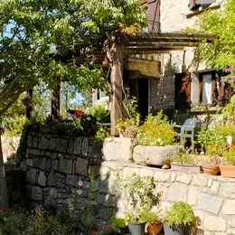 Bilia corse du sud_3