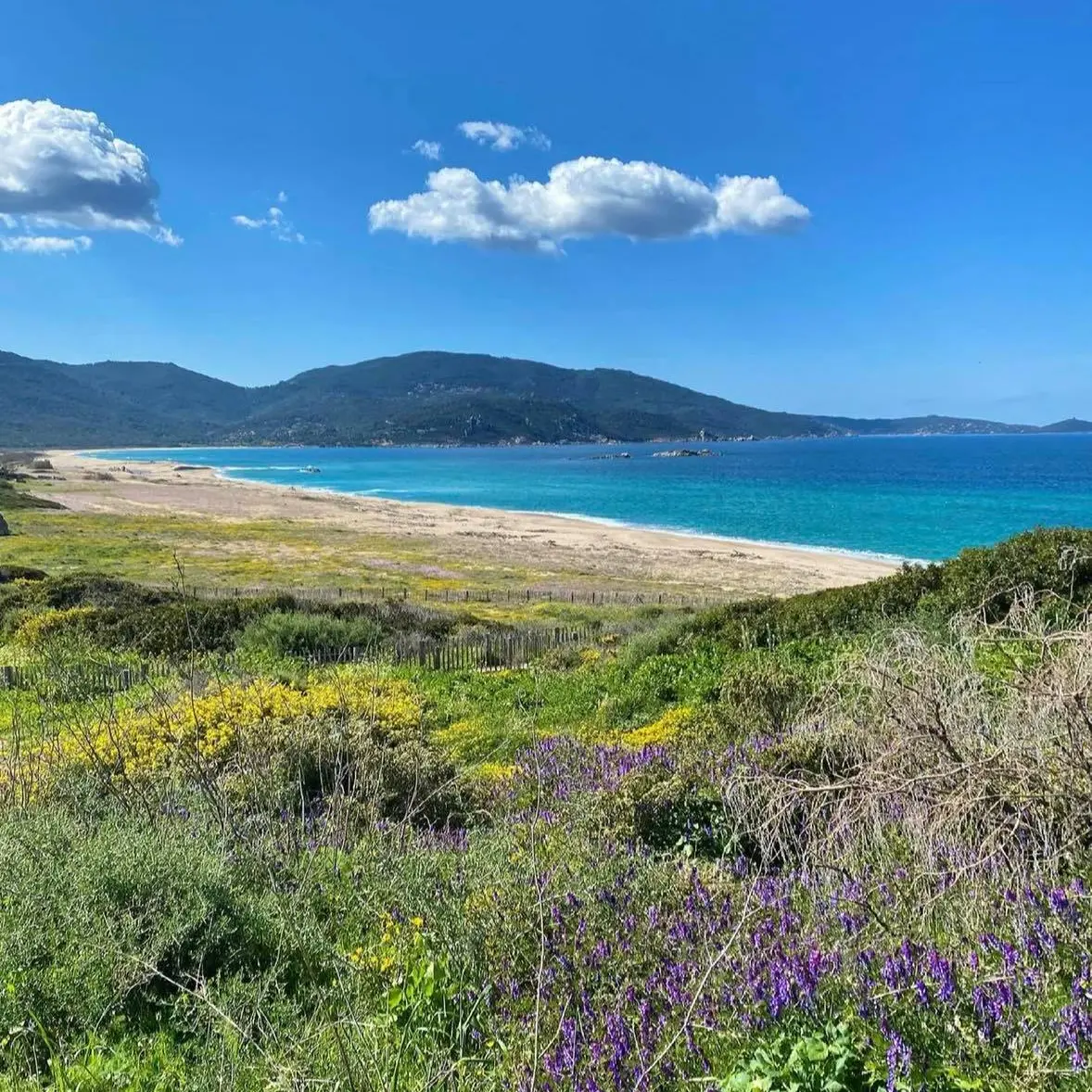 CAPU LAUROSU PROPRIANO CORSE DU SUD