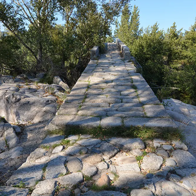 PONT GENOIS SPINACAVADDU