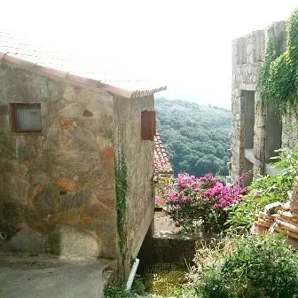 Fuzzà_2