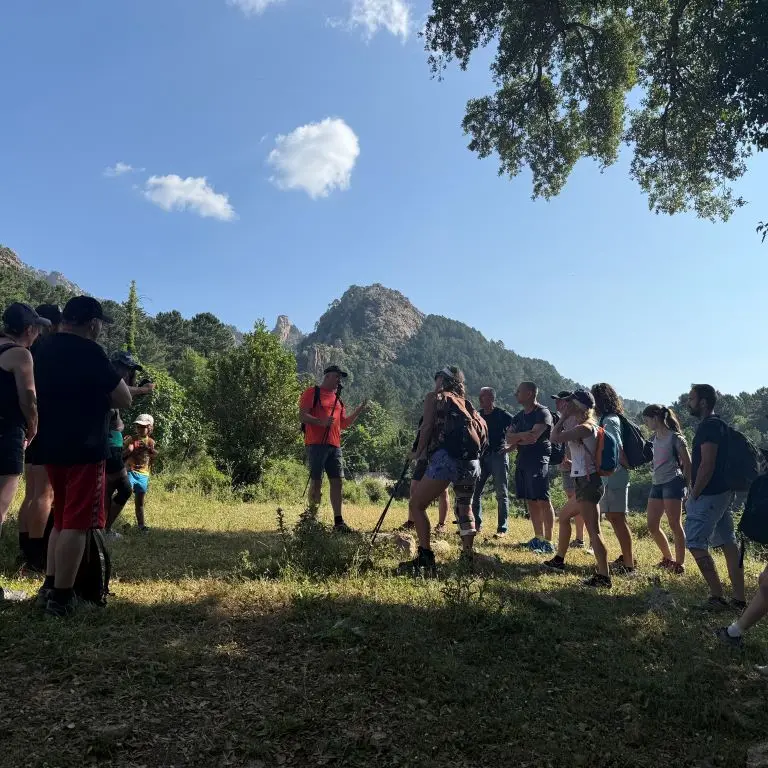 LES SORTIES DE DANIEL