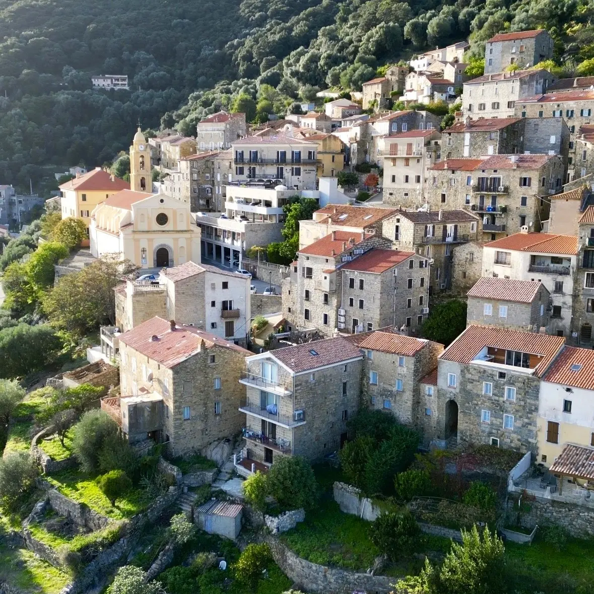 Olmeto village