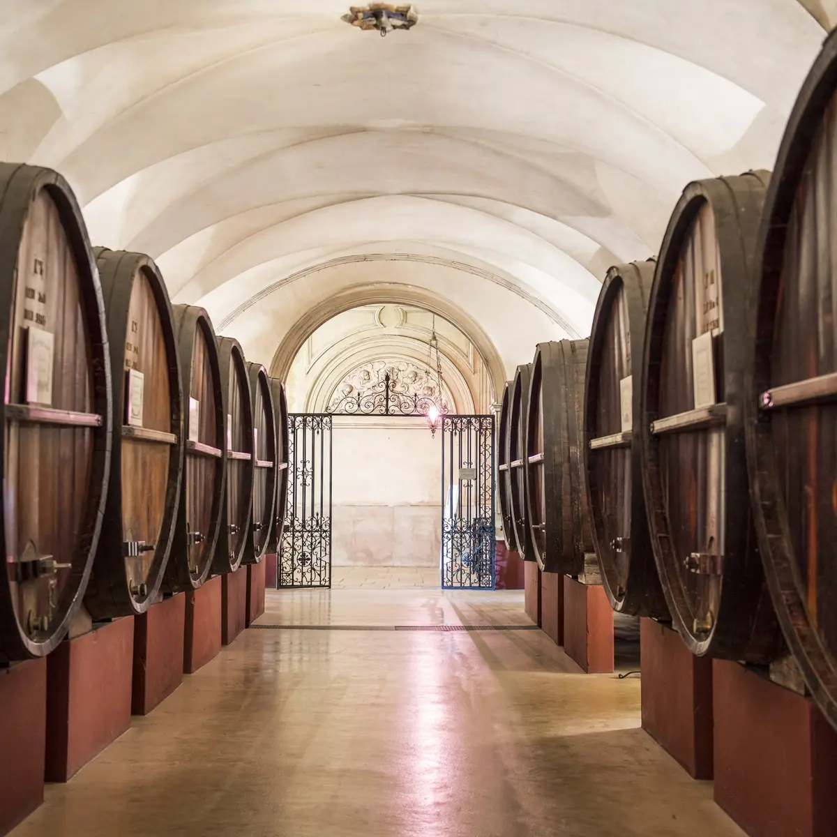 LA GALERIE DES FOUDRES