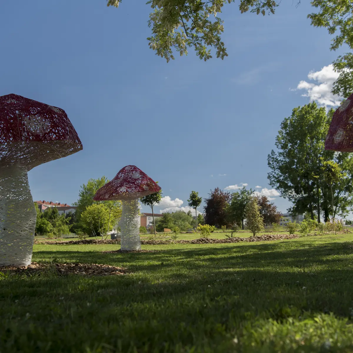 Prenez le frais à l'ombre des champignons géants