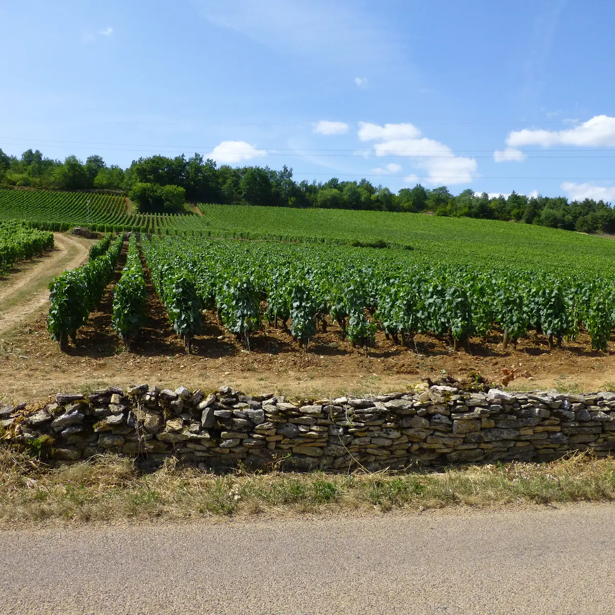 032 Domaine Chaussin