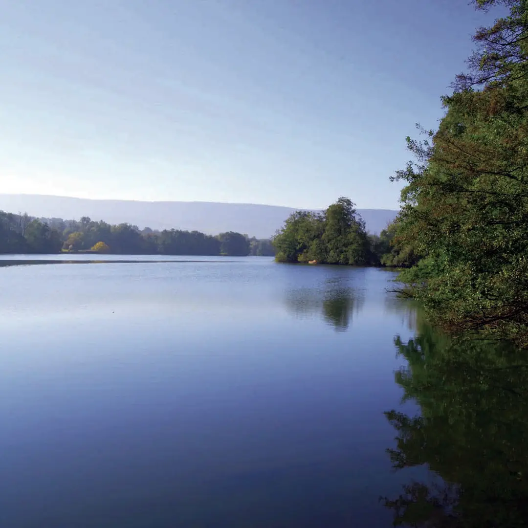 13-2021-rioz-cromary-12 (Large)