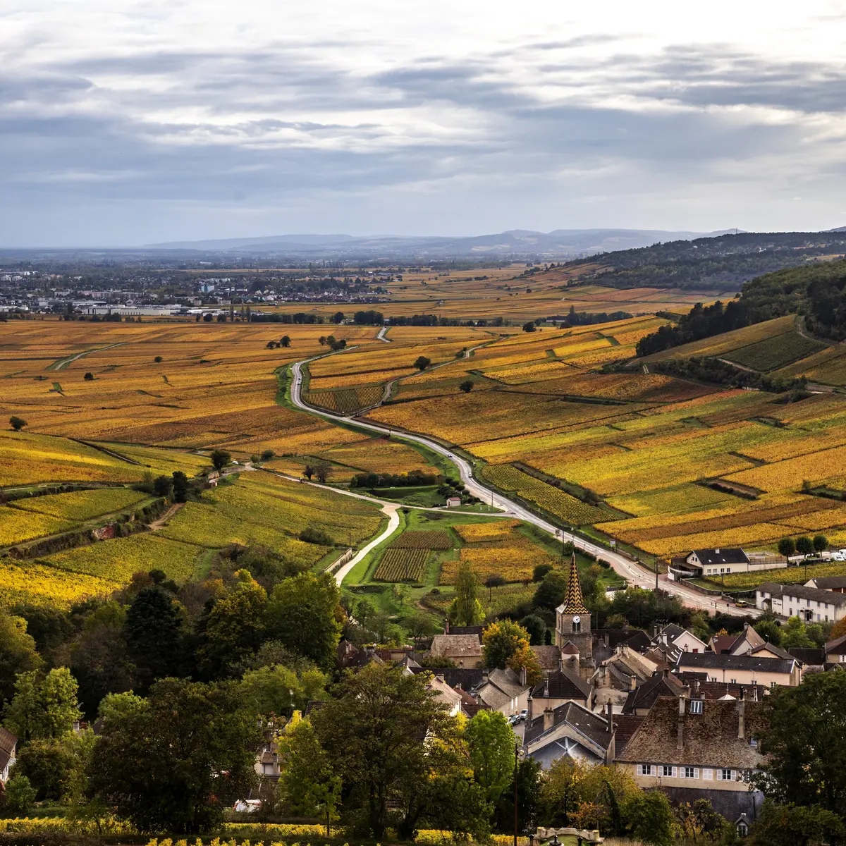 Côte de Beaune