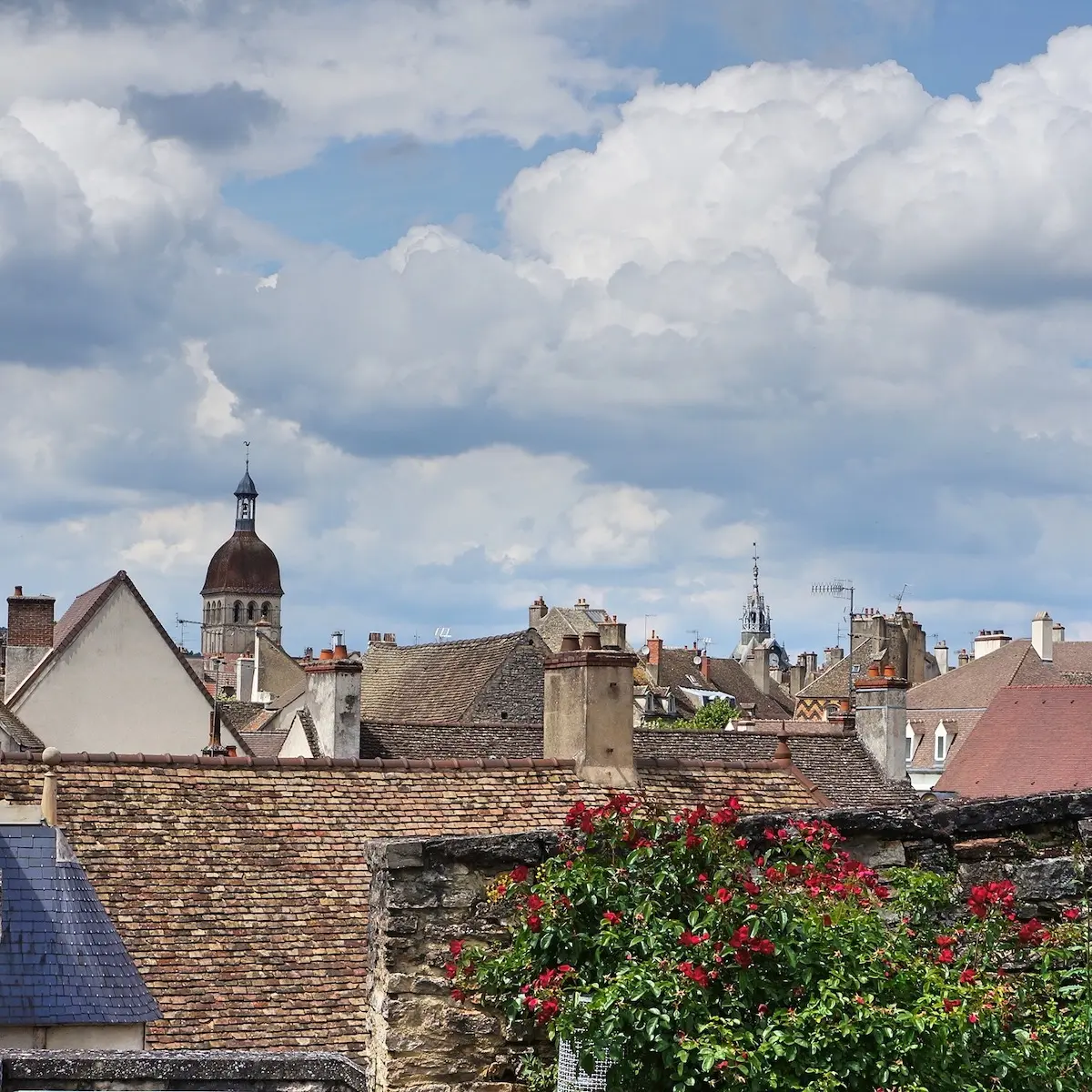 Sur-les-toits-de-Beaune