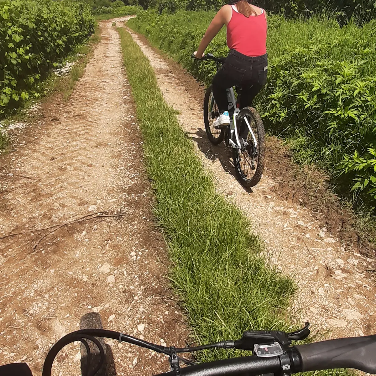 Balade à VTT