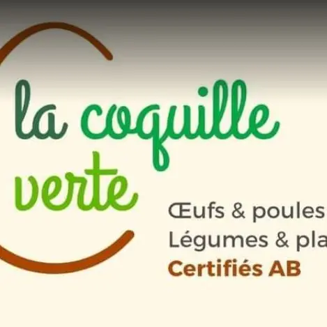 20240131_COQUILLE VERTE 0