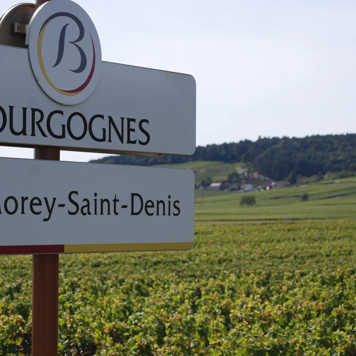 Côte de Nuits